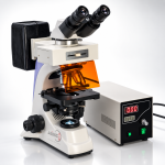 Inverted Fluorescence Microscope